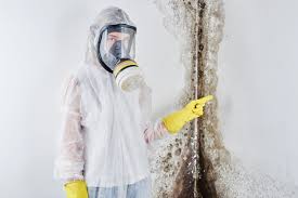 Best Comprehensive Air Testing for Mold Contaminants  in Brodheadsville, PA